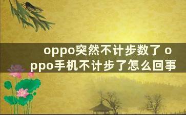 oppo突然不计步数了 oppo手机不计步了怎么回事